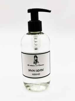 Savon liquide 250ml