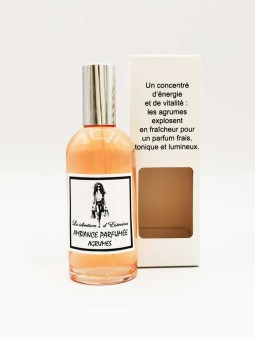 Parfum d'Ambiance 100ml
