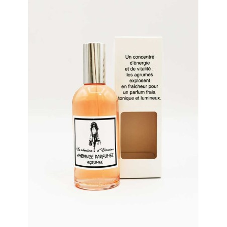 Parfum d'Ambiance 100ml